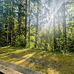 Ruheort Mitten Im Wald * Eibenstock