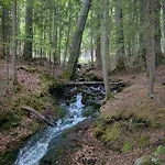 Ruheort Mitten Im Wald Apartment