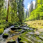 Ruheort Mitten Im Wald * Eibenstock