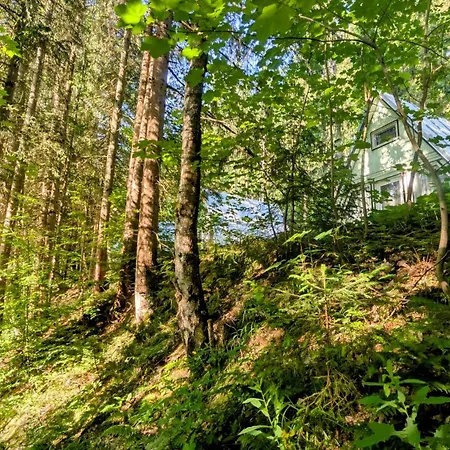Huette Tannengruen - Ruheort Mitten Im Wald アパート