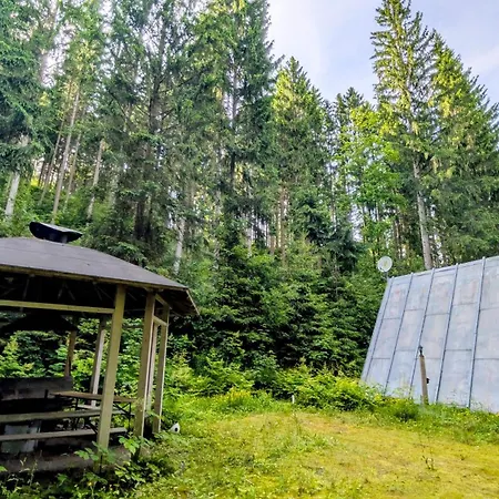 Ruheort Mitten Im Wald