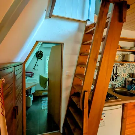 Apartment Ruheort Mitten Im Wald *