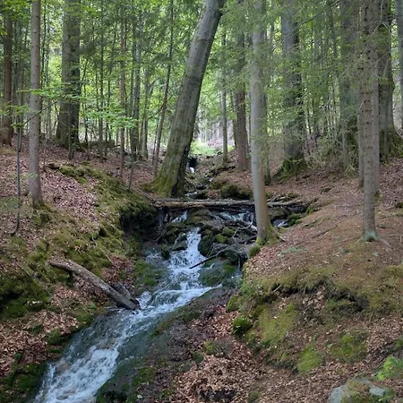 Huette Tannengruen - Ruheort Mitten Im Wald アパート