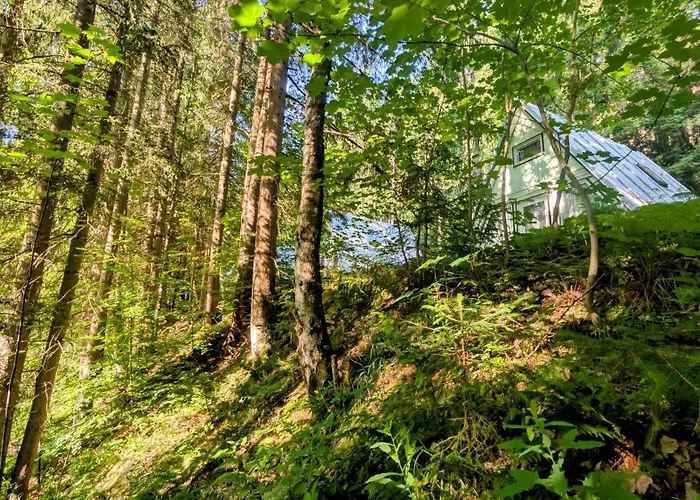 Ruheort Mitten Im Wald Apartamento