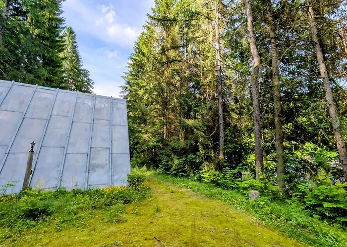 Διαμέρισμα Ruheort Mitten Im Wald