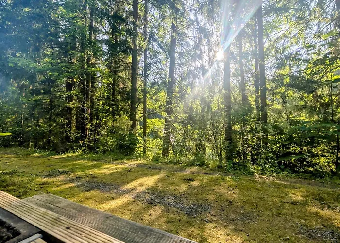 Ruheort Mitten Im Wald * Eibenstock