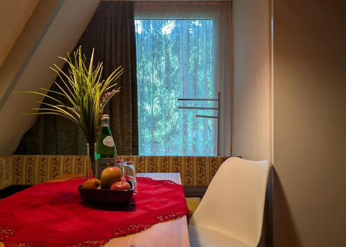 Ruheort Mitten Im Wald Eibenstock