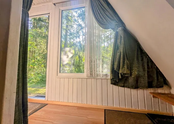 Ruheort Mitten Im Wald Eibenstock