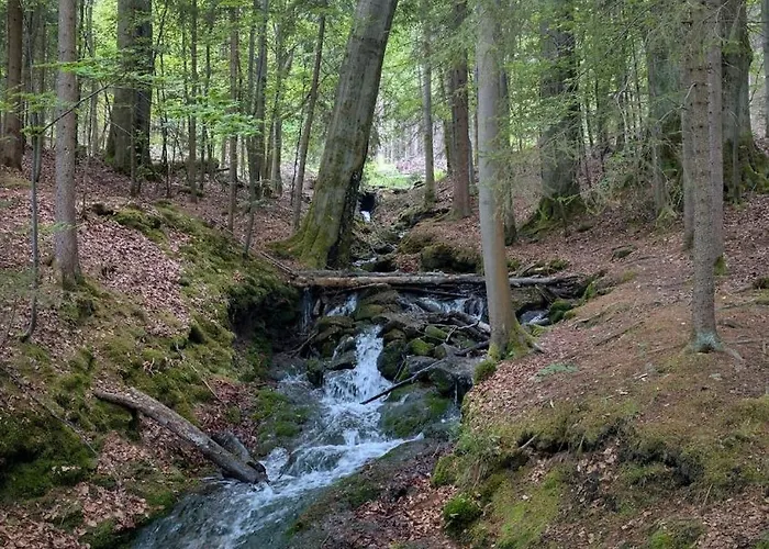 Ruheort Mitten Im Wald Διαμέρισμα