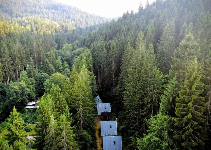 Ruheort Mitten Im Wald Apartamento *