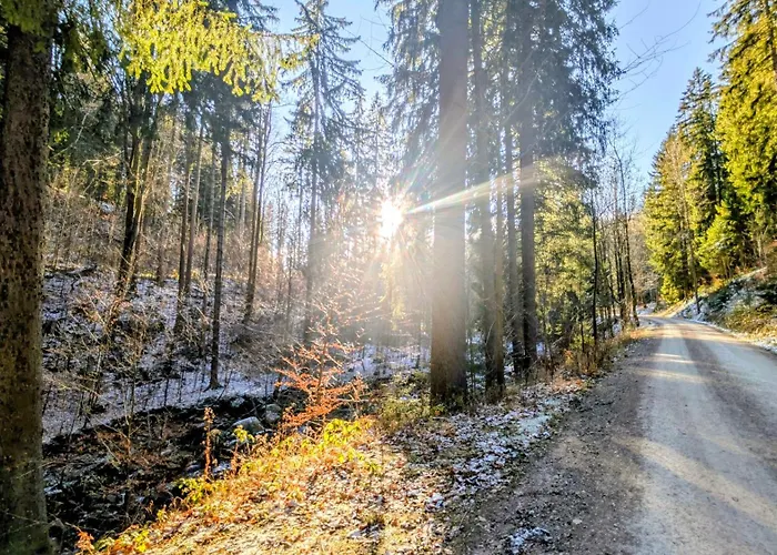 Ruheort Mitten Im Wald Διαμέρισμα Eibenstock