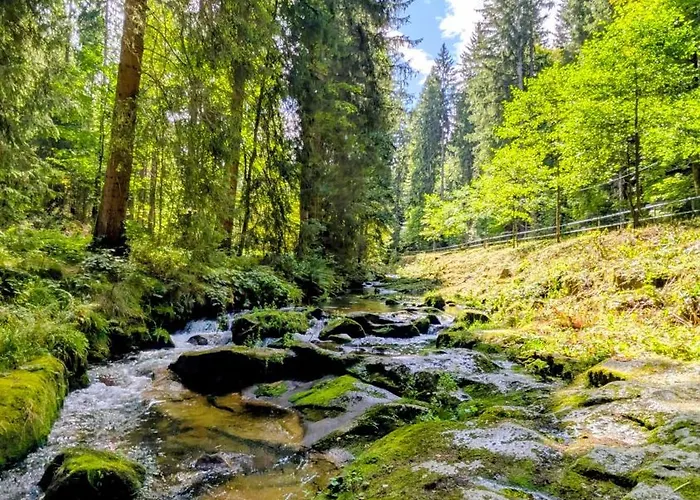 Ruheort Mitten Im Wald * Eibenstock